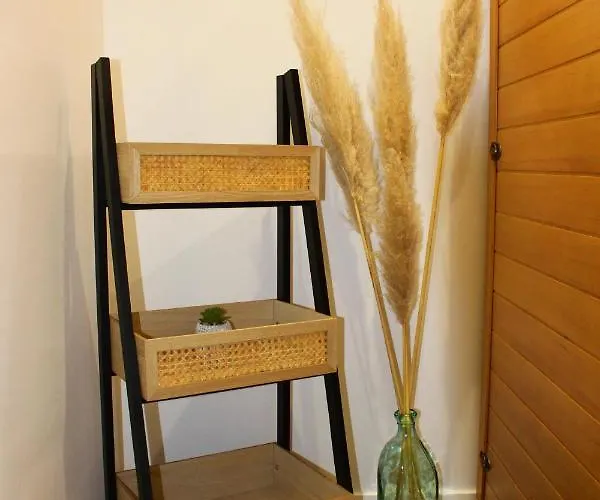 L'instant T 4* Balnéo, Sauna Et Parking Privé Appartement Colmar